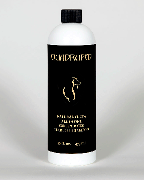 All in One Yucca Tearless Concentrated Shampoo